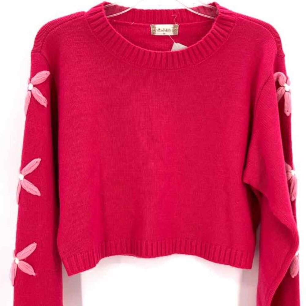Women's Altar'd State hot pink Sweater